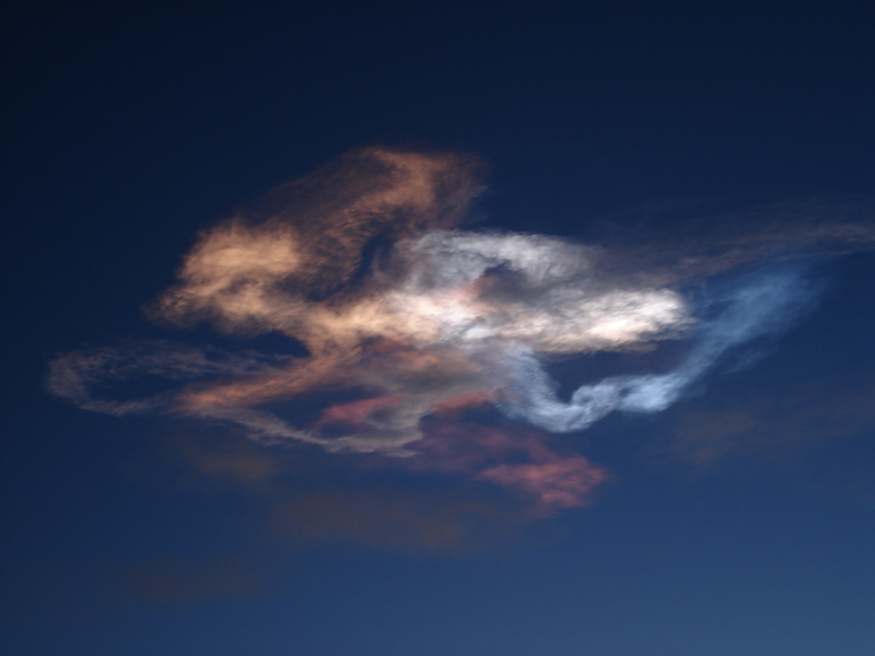 Illustration for article titled Dragon Spotted Flying Over Disney's Castle